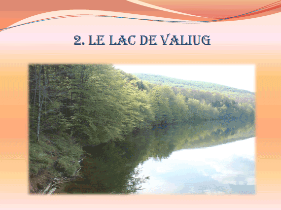COMENIUS - PARTENARIAT SCOLAIRE