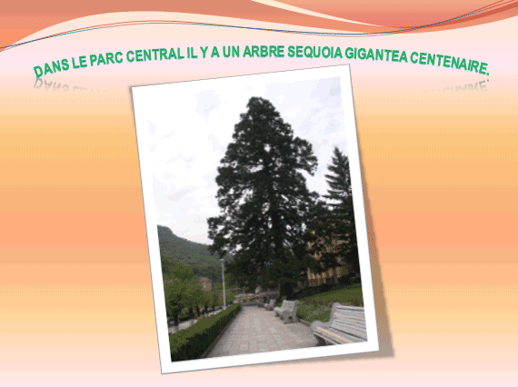 COMENIUS - PARTENARIAT SCOLAIRE
