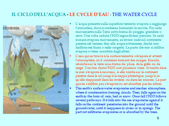 PROGETTO COMENIUS