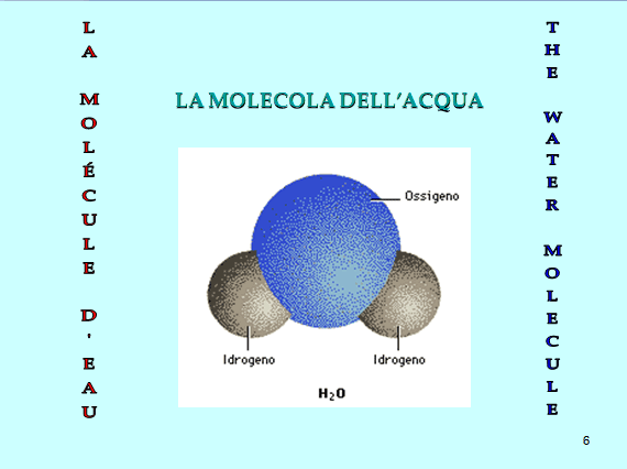 PROGETTO COMENIUS