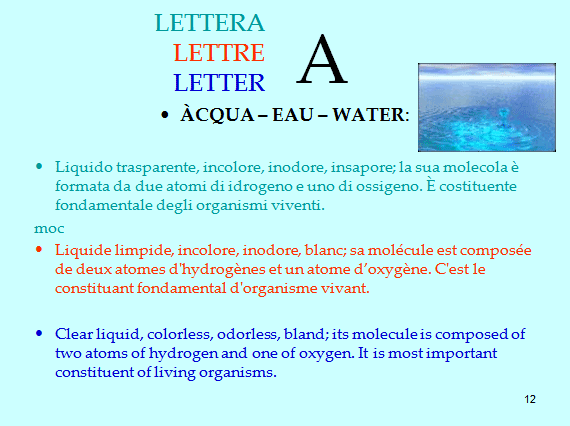 PROGETTO COMENIUS