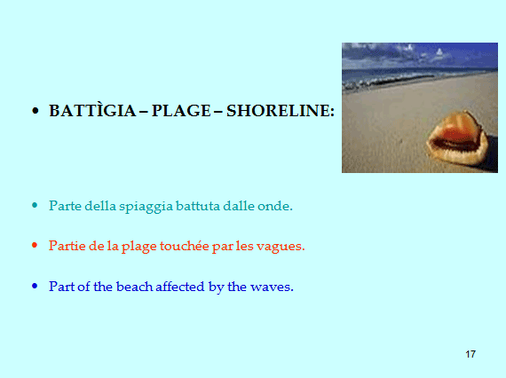 PROGETTO COMENIUS