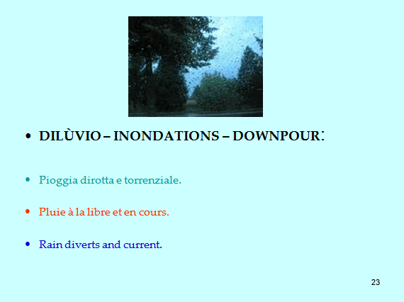 PROGETTO COMENIUS