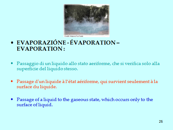 PROGETTO COMENIUS