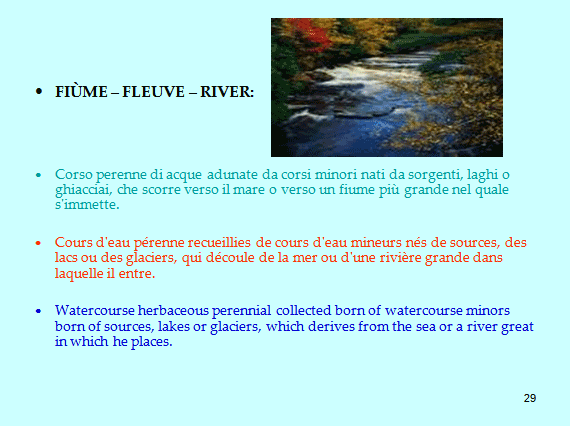 PROGETTO COMENIUS