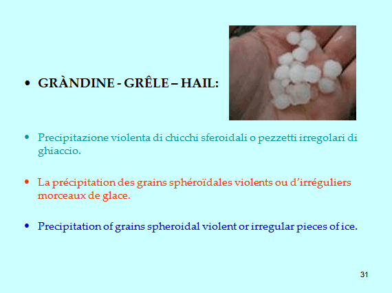 PROGETTO COMENIUS