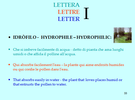 PROGETTO COMENIUS