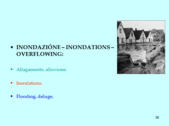 PROGETTO COMENIUS