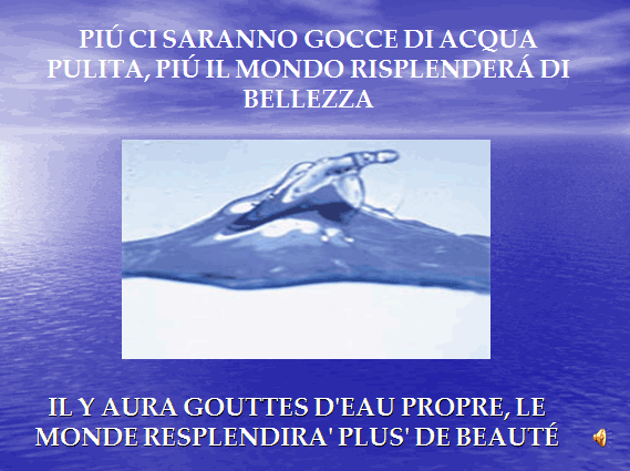 PROGETTO COMENIUS