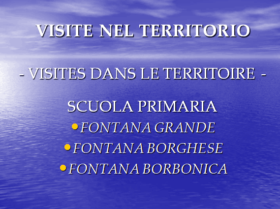 PROGETTO COMENIUS