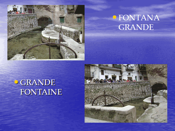 PROGETTO COMENIUS