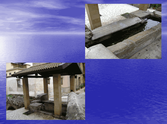 PROGETTO COMENIUS