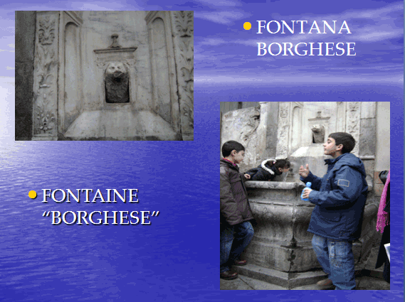 PROGETTO COMENIUS