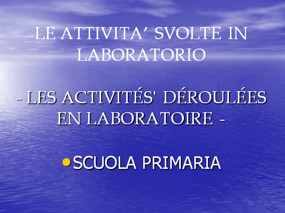 PROGETTO COMENIUS