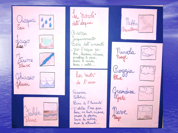 PROGETTO COMENIUS