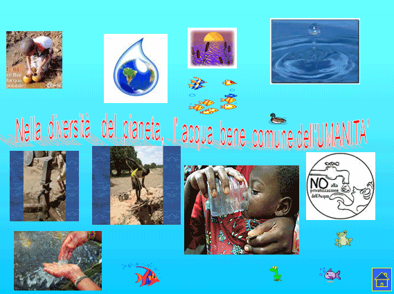 PROGETTO COMENIUS