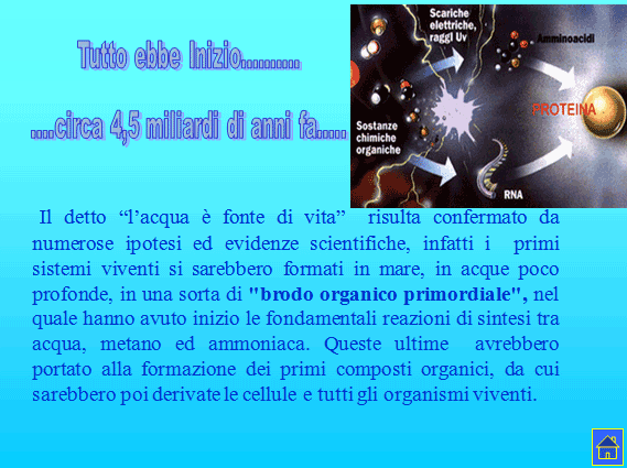 PROGETTO COMENIUS