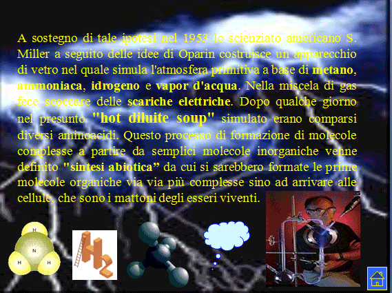PROGETTO COMENIUS