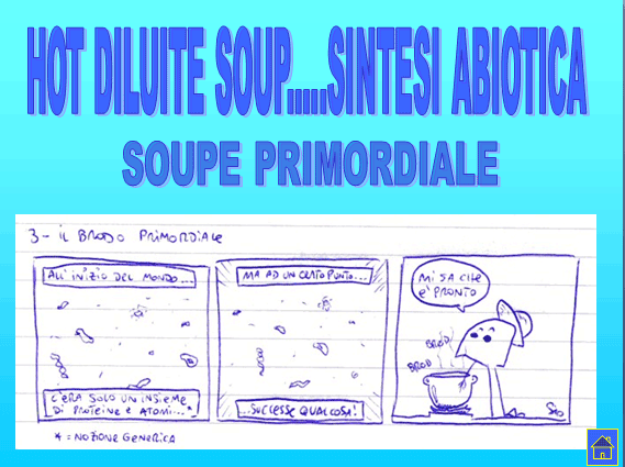 PROGETTO COMENIUS