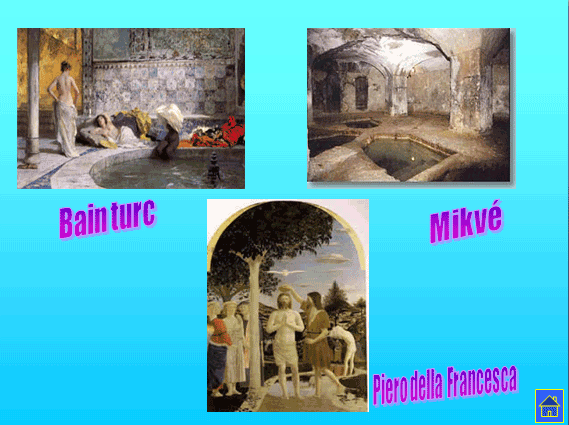 PROGETTO COMENIUS