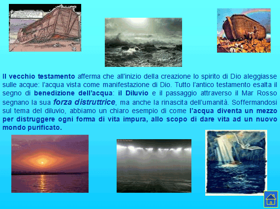 PROGETTO COMENIUS