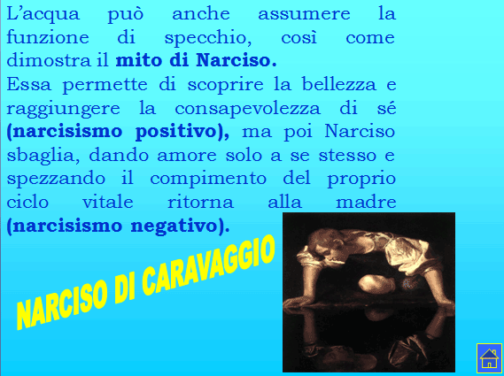 PROGETTO COMENIUS