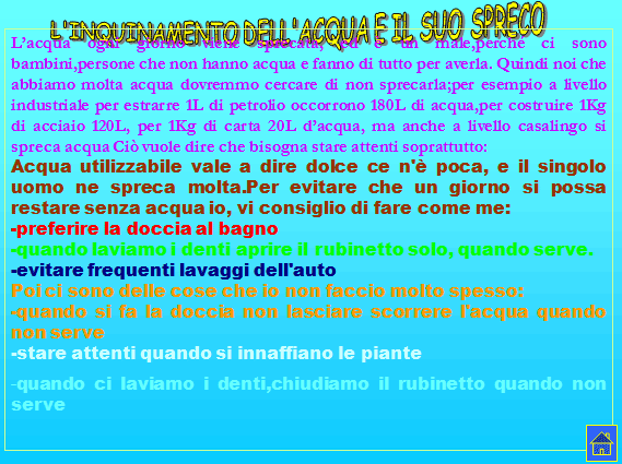 PROGETTO COMENIUS