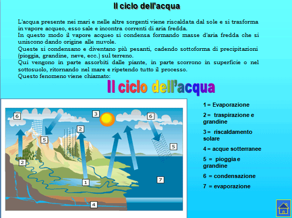 PROGETTO COMENIUS
