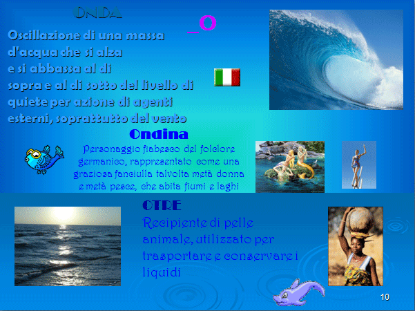 PROGETTO COMENIUS