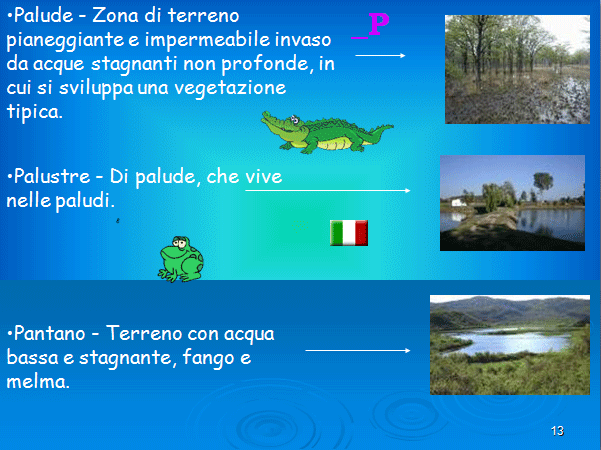 PROGETTO COMENIUS