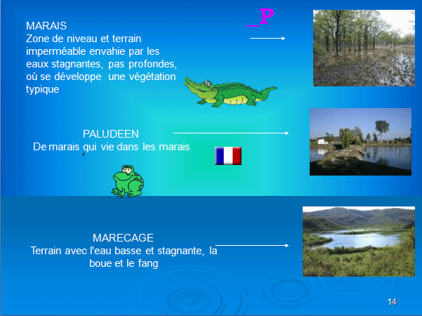 PROGETTO COMENIUS