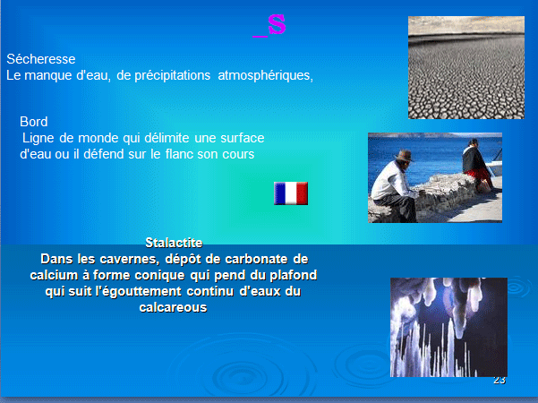 PROGETTO COMENIUS