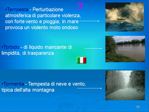 PROGETTO COMENIUS